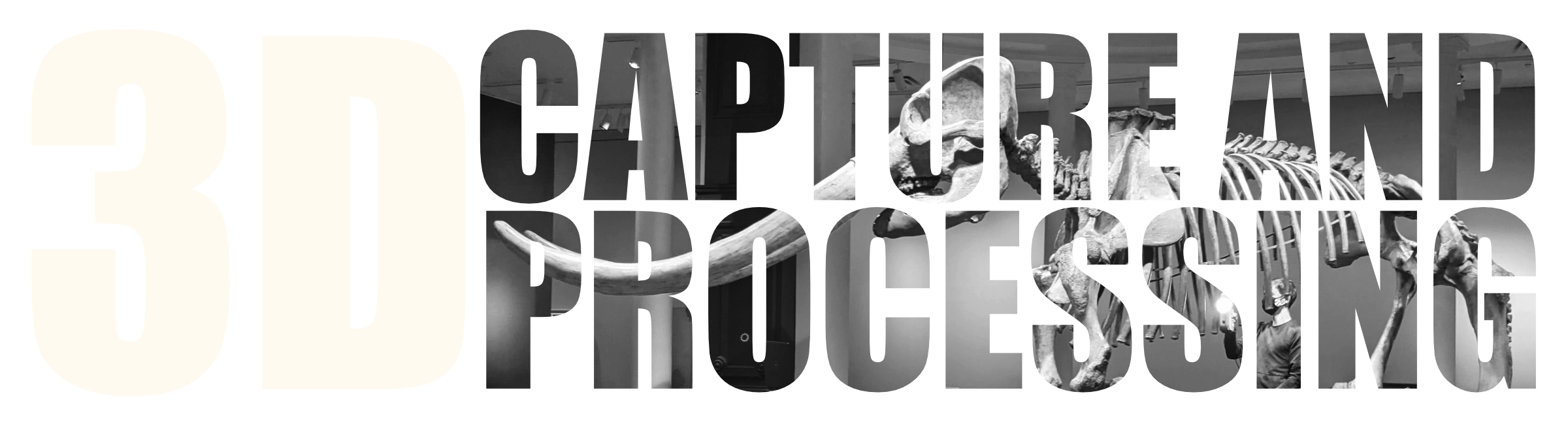 3D Capture and Processing